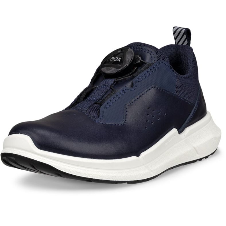 ecco biom 2.2 k