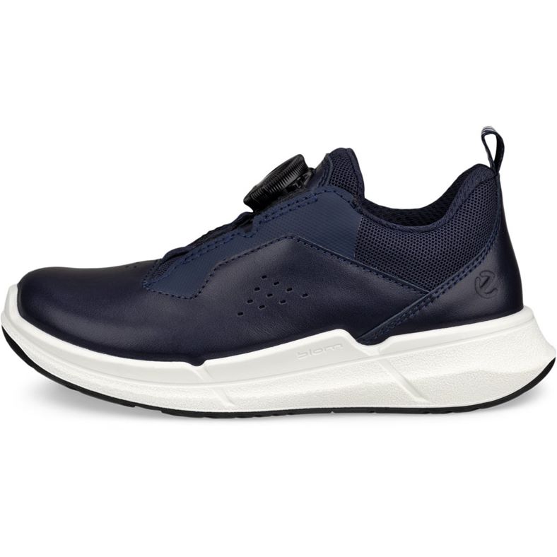 ecco biom 2.2 k