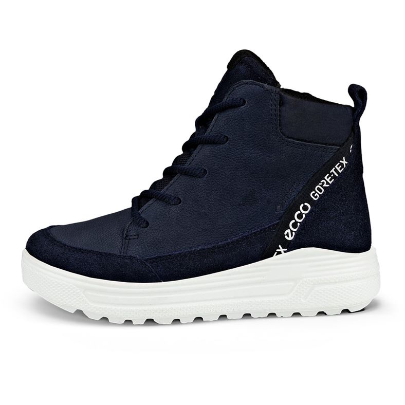 ecco urban snowboarder
