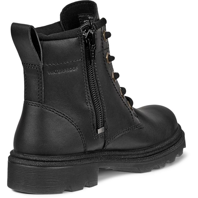 ecco grainer k