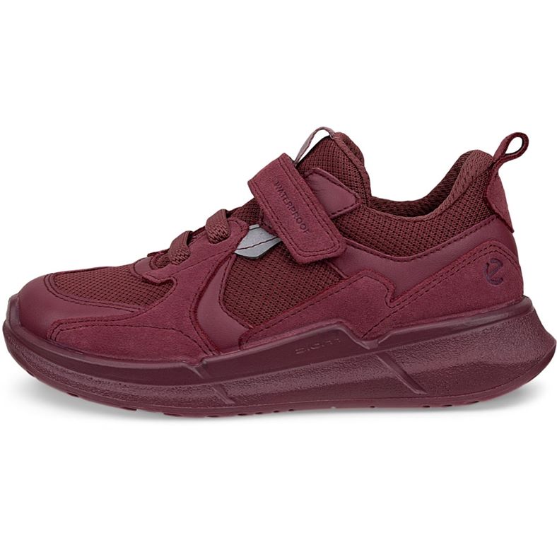 ecco biom 2.2 k
