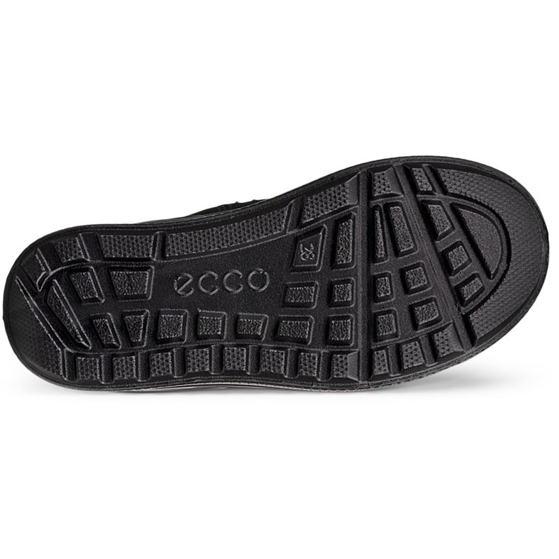 ecco urban snowboarder