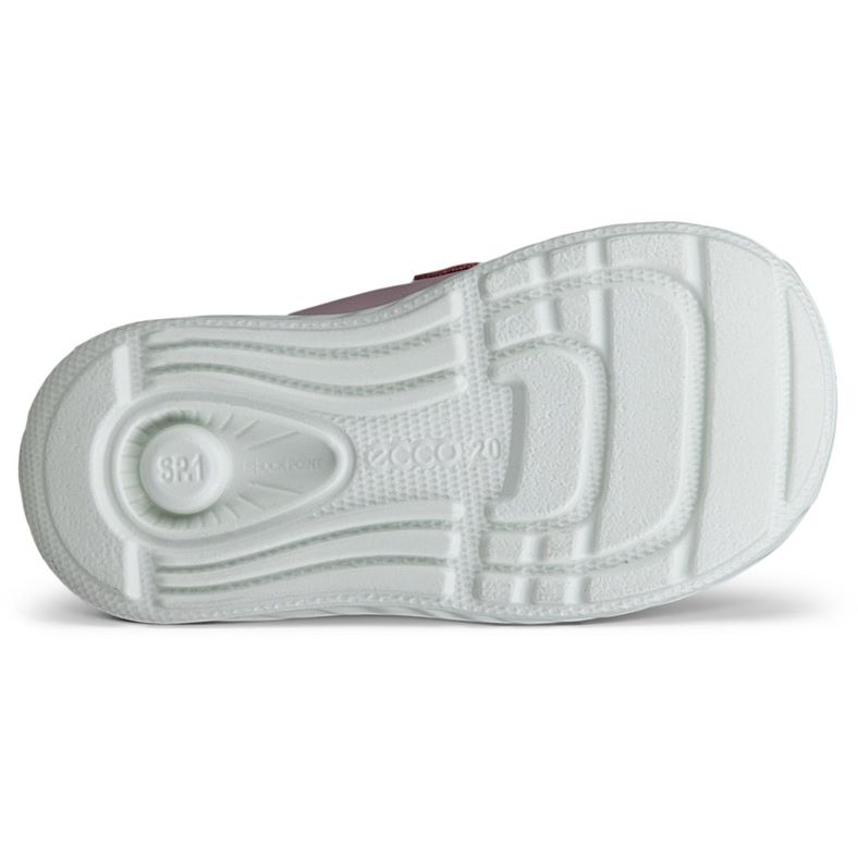 ecco sp.1 lite infant