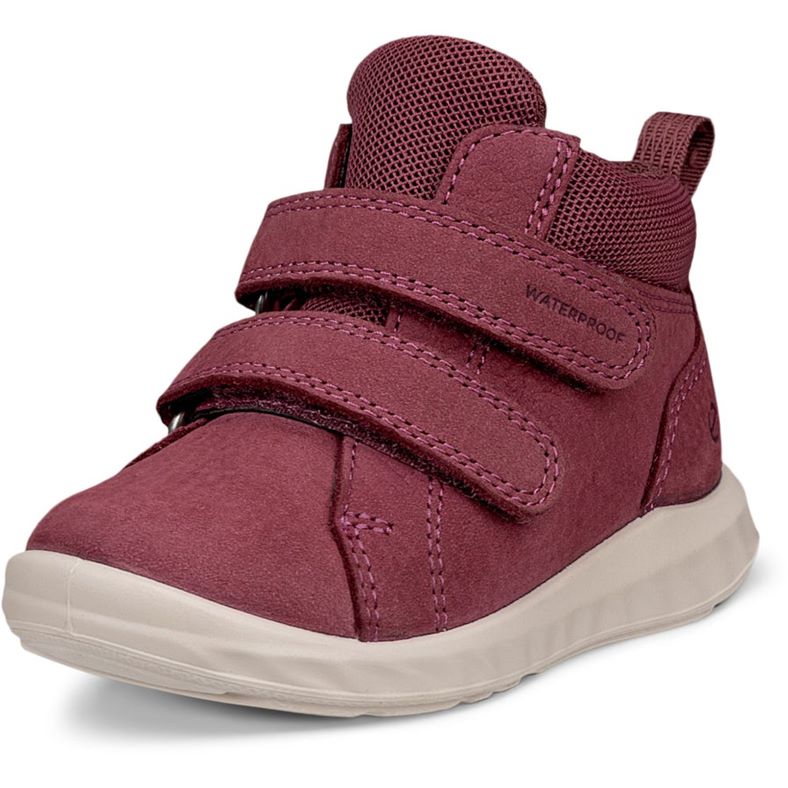 ecco sp.1 lite infant
