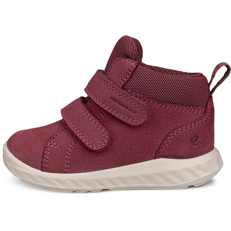 ecco sp.1 lite infant