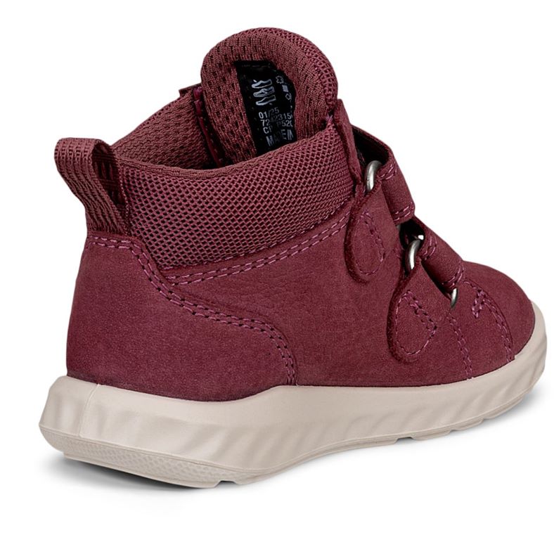 ecco sp.1 lite infant