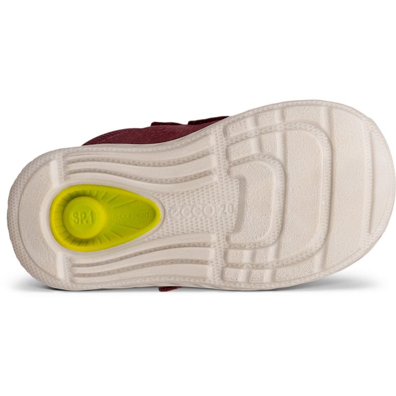 ecco sp.1 lite infant