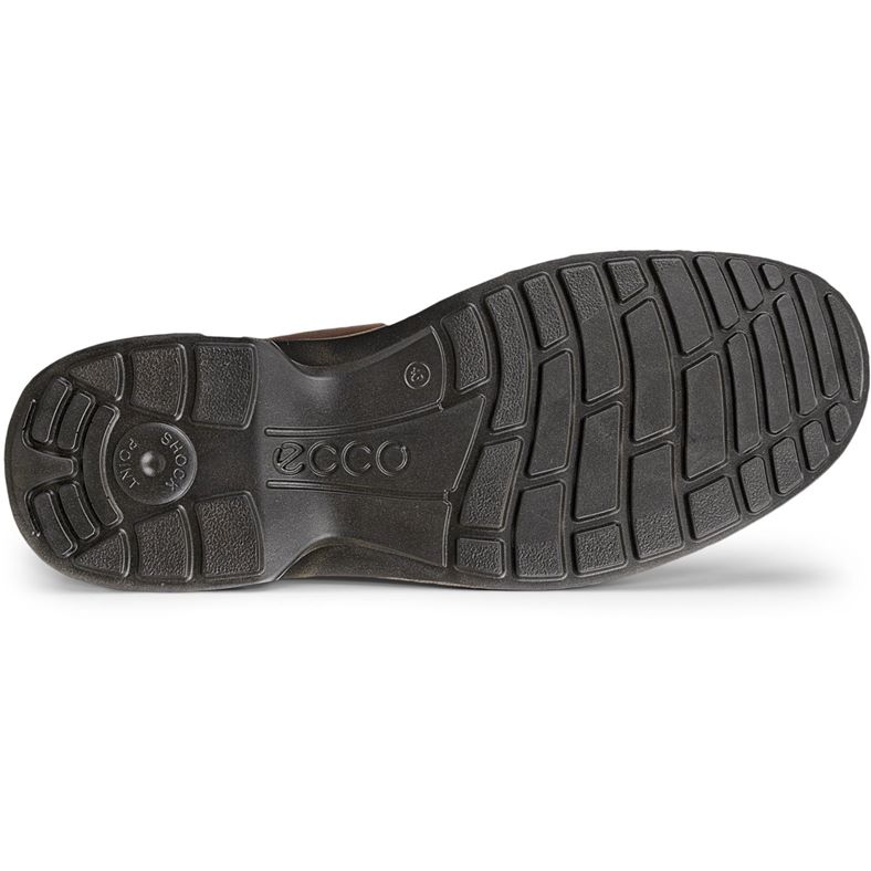 ecco turn
