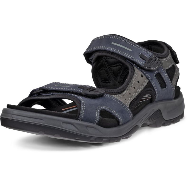 ecco offroad