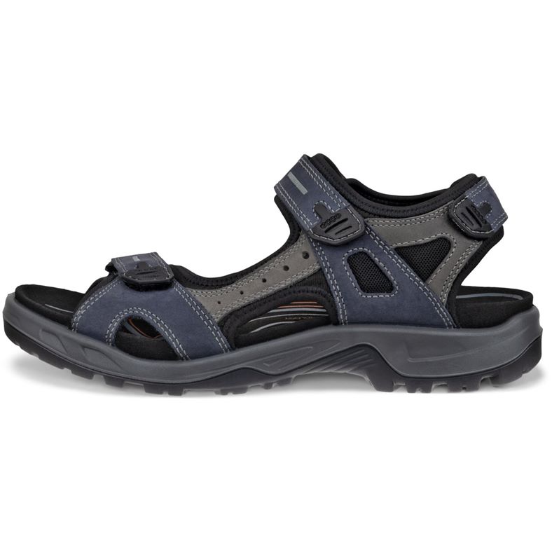 ecco offroad