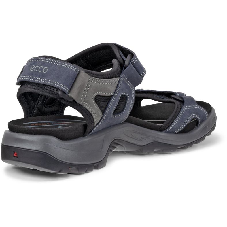 ecco offroad