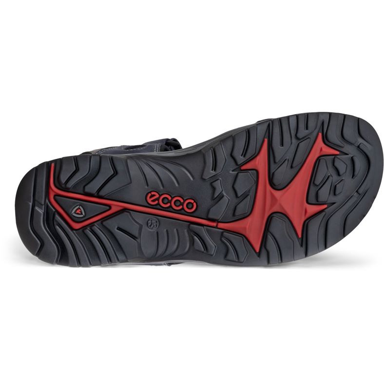 ecco offroad