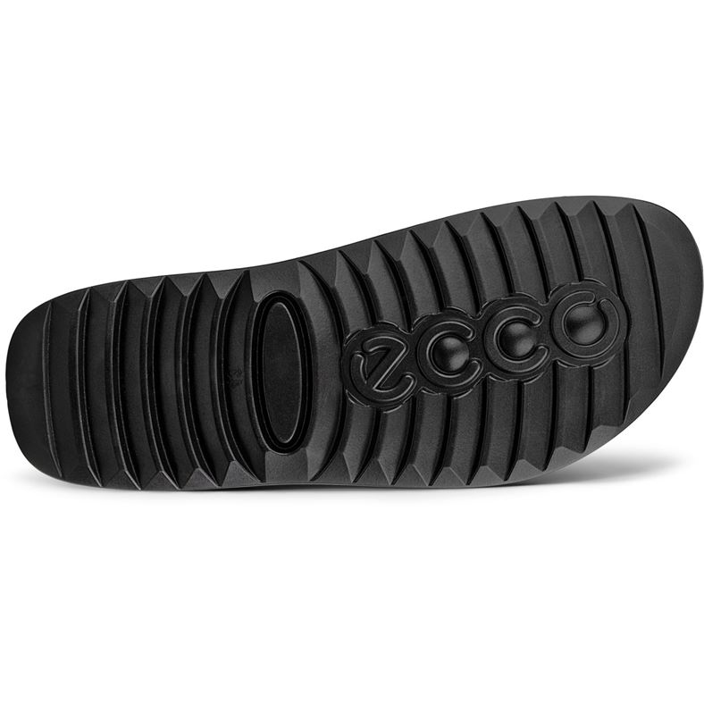 ecco cozmo m