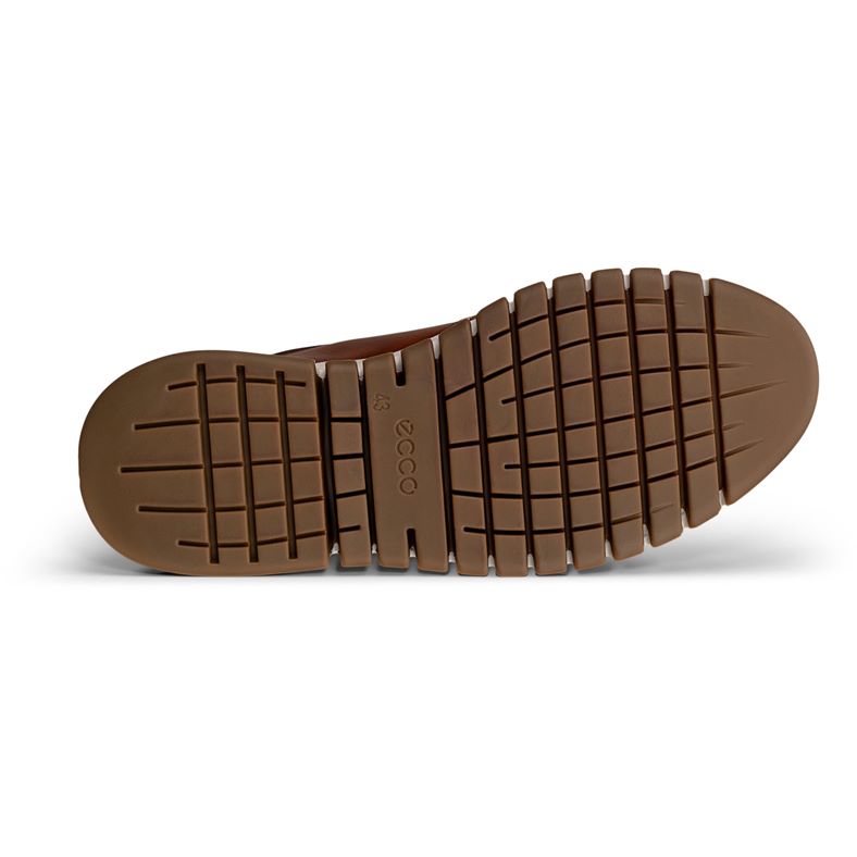 ecco gruuv studio m
