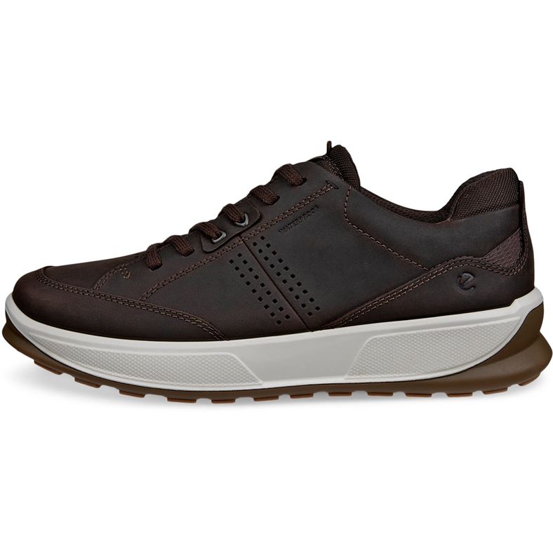 ecco byway 2.0