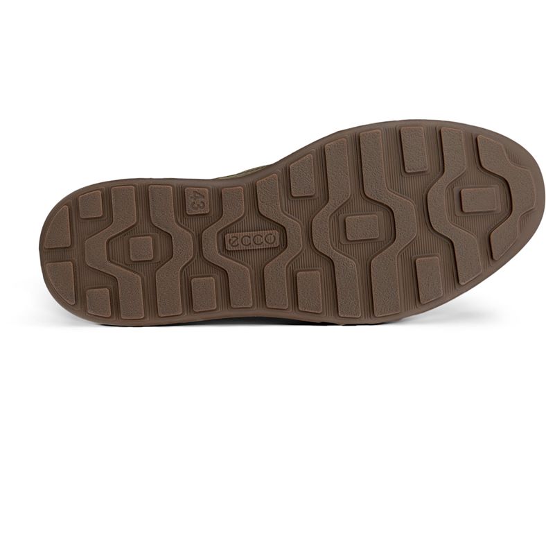 ecco byway 2.0