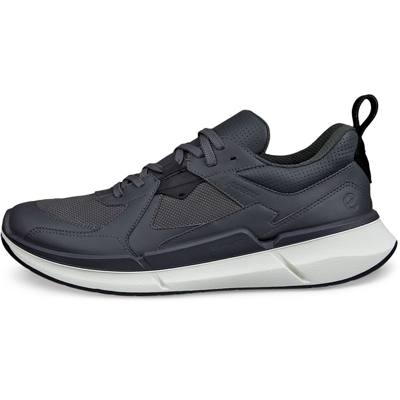 ecco biom 2.2 m