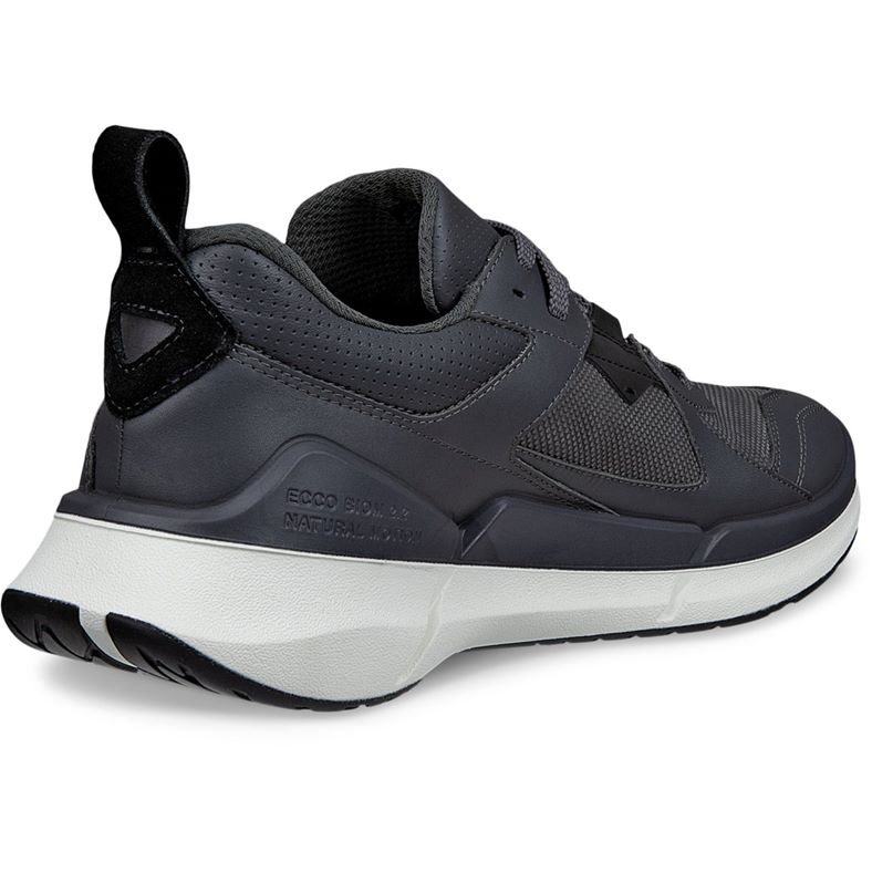 ecco biom 2.2 m