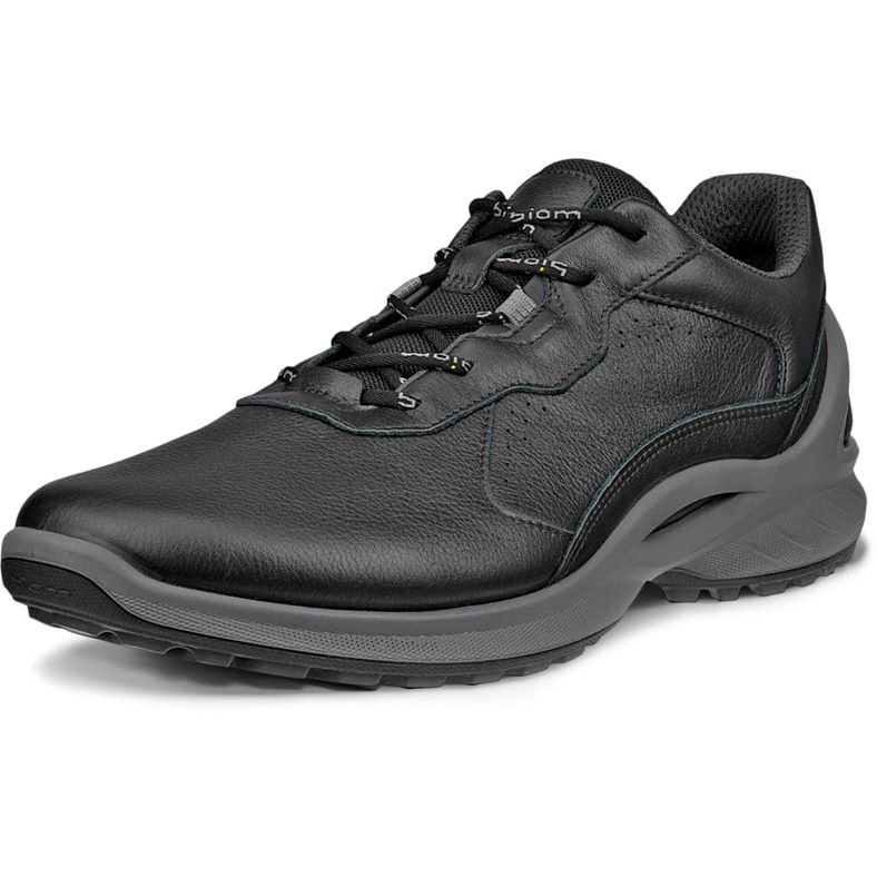 ecco biom energi m