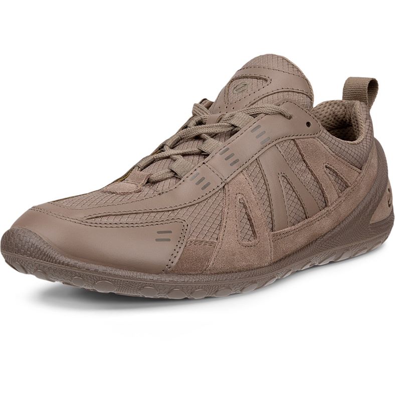ecco biom lite w