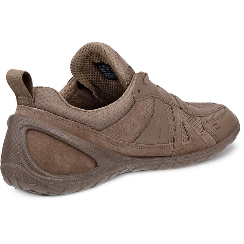 ecco biom lite w