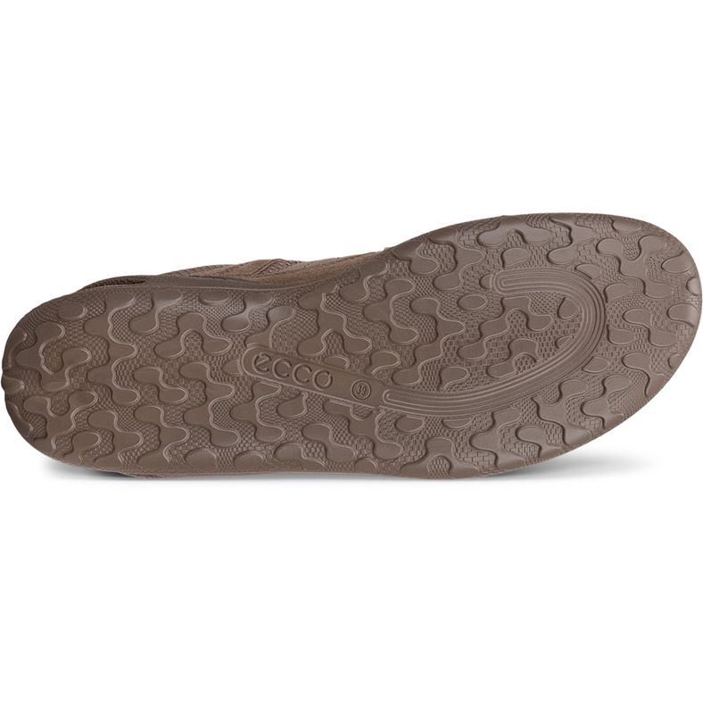 ecco biom lite w
