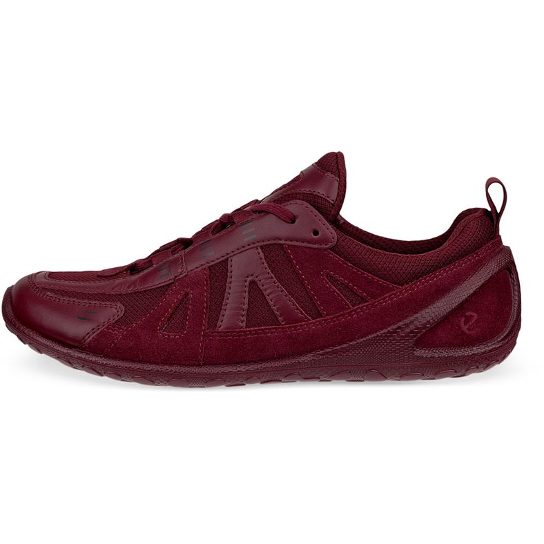 ecco biom lite w