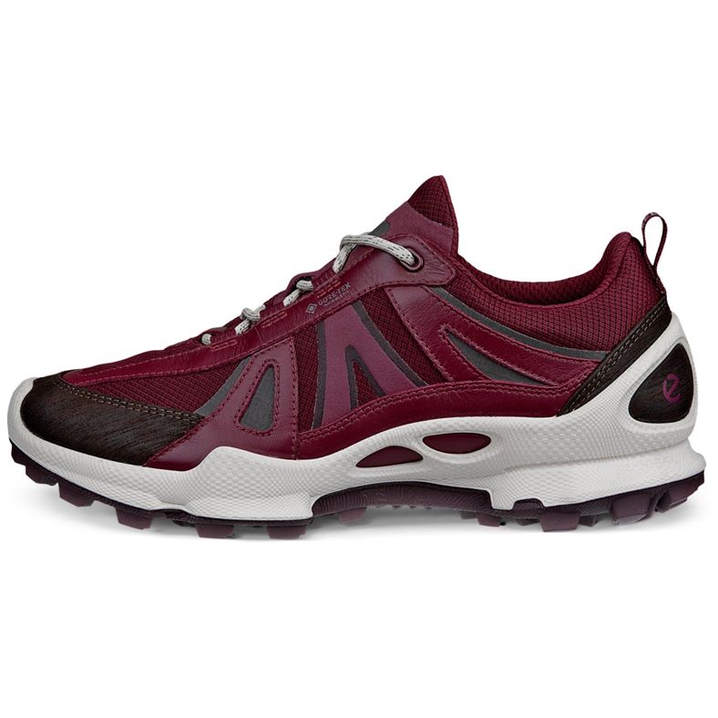 ecco biom c-trail w
