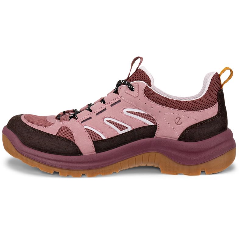 ecco offroad w