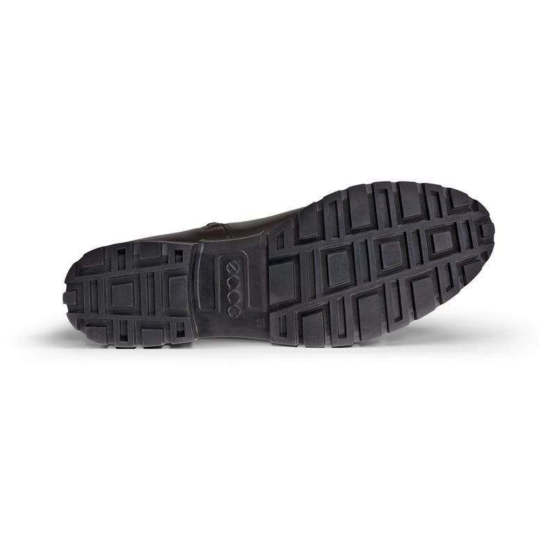 ecco modtray w
