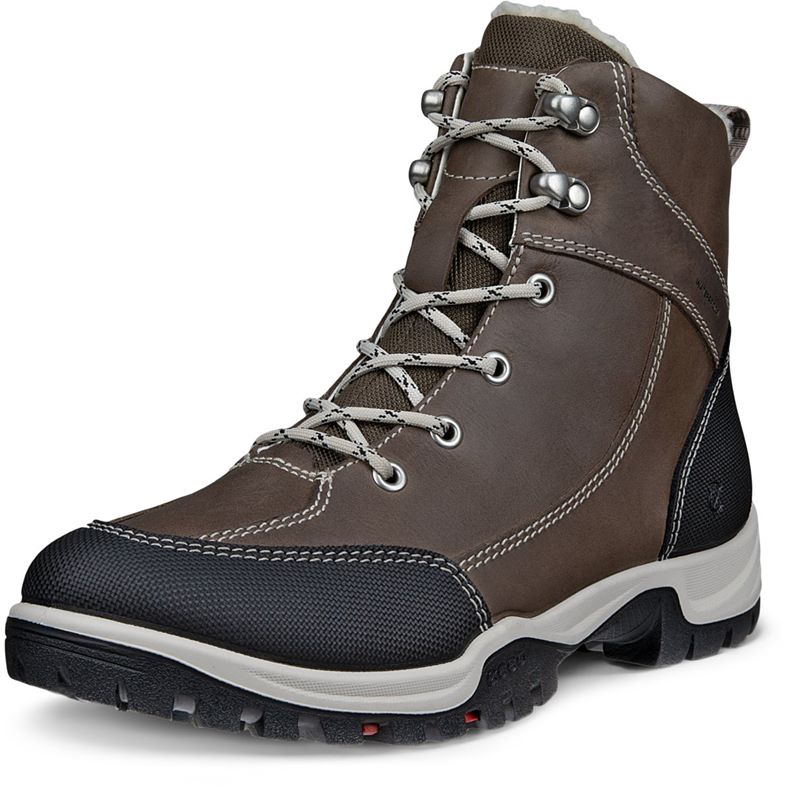 ecco xpedition iii w