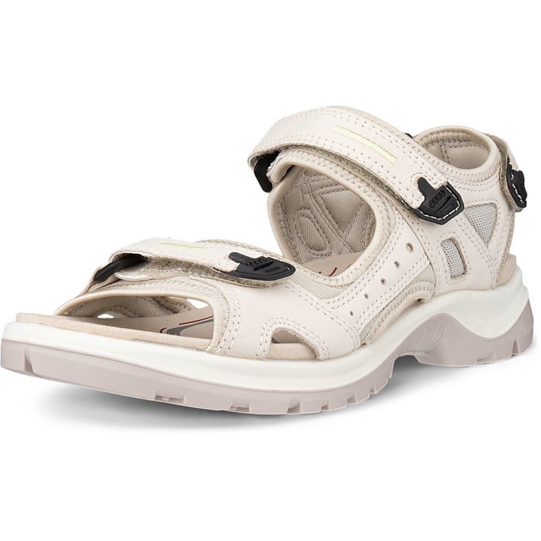 ecco offroad