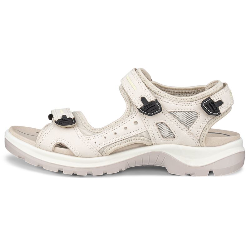 ecco offroad