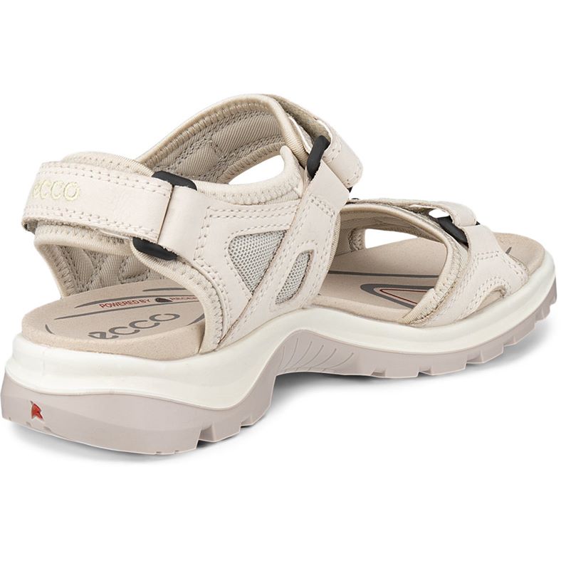 ecco offroad