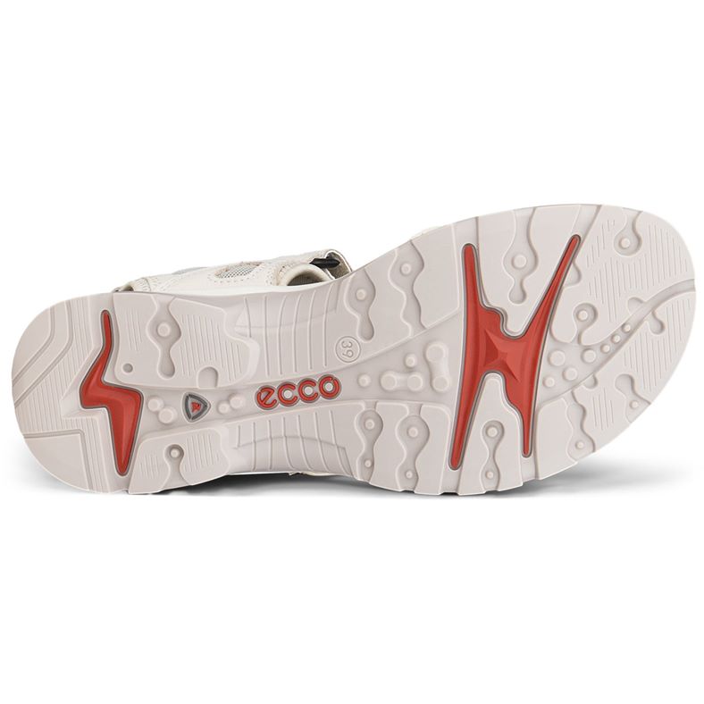 ecco offroad