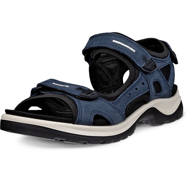 ecco offroad