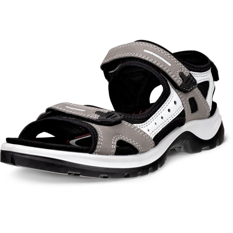 ecco offroad