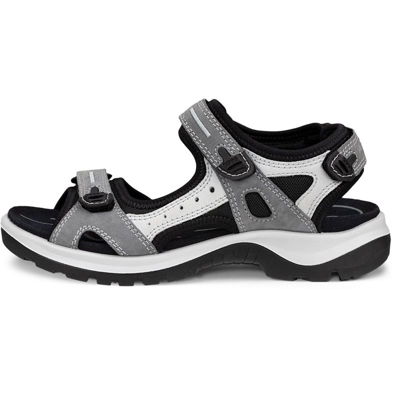 ecco offroad