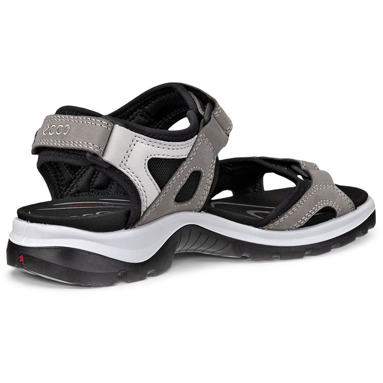 ecco offroad