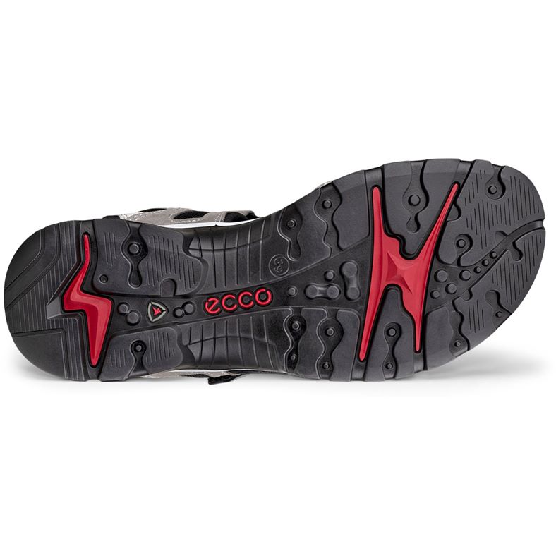 ecco offroad