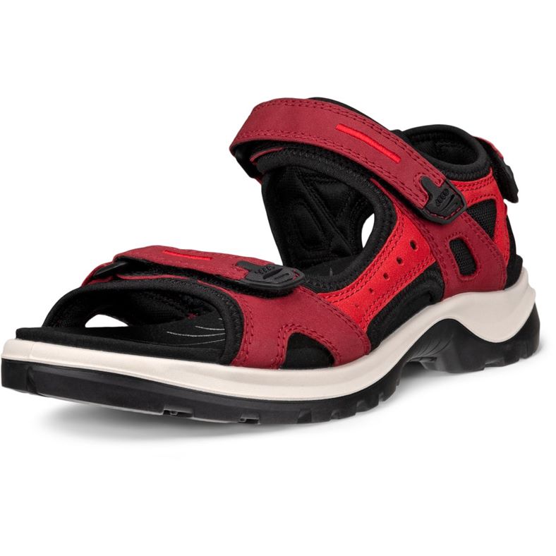 ecco offroad