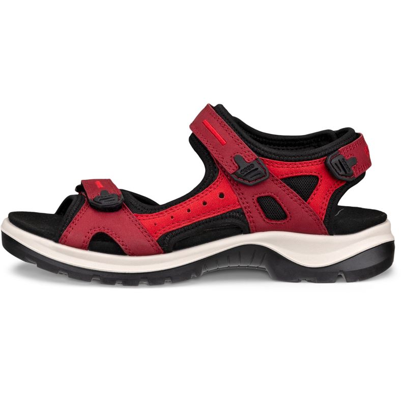 ecco offroad