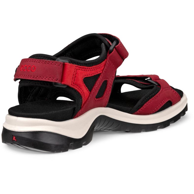 ecco offroad