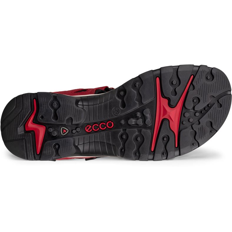 ecco offroad