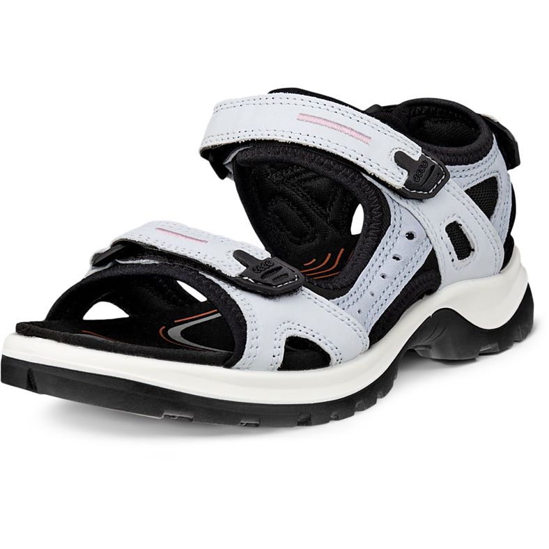 ecco offroad