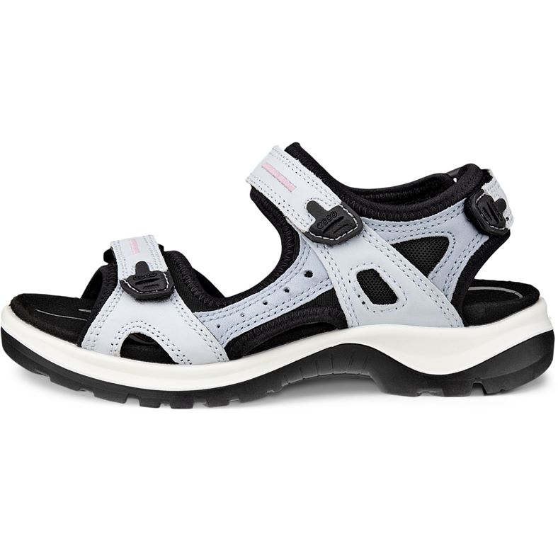 ecco offroad