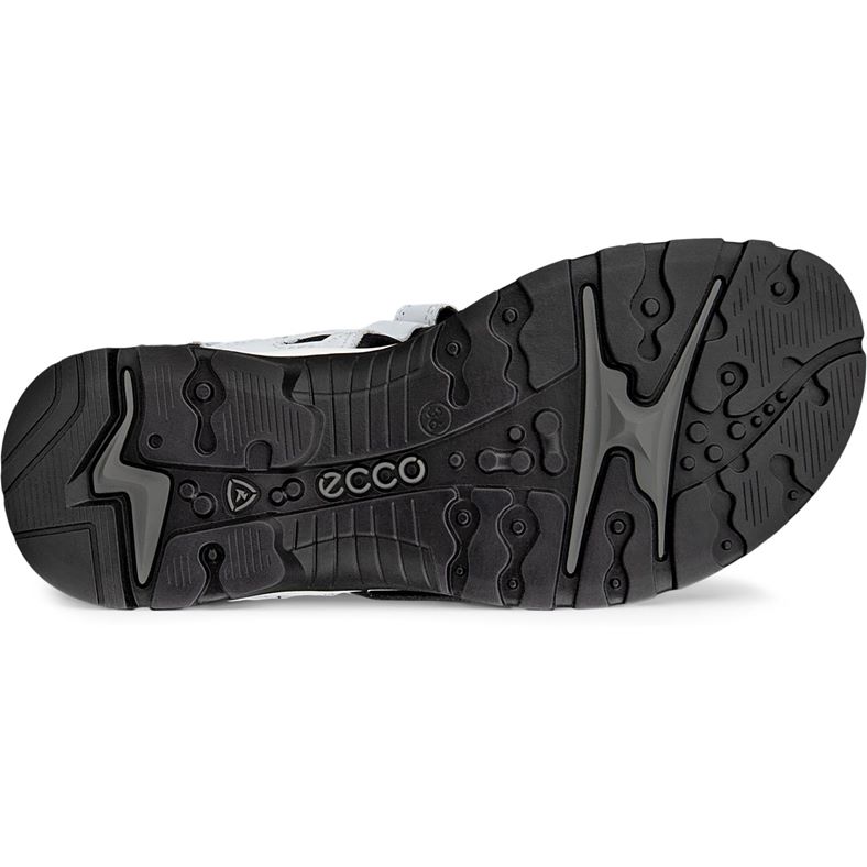 ecco offroad