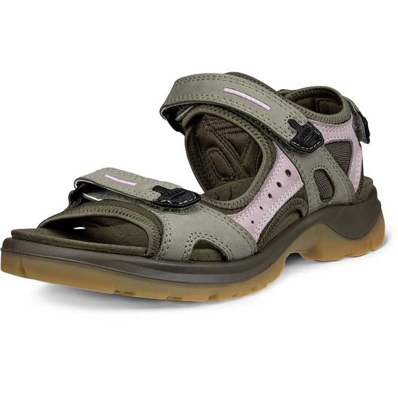 ecco offroad