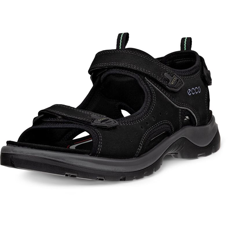 ecco offroad