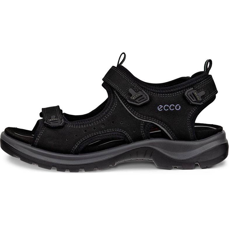 ecco offroad